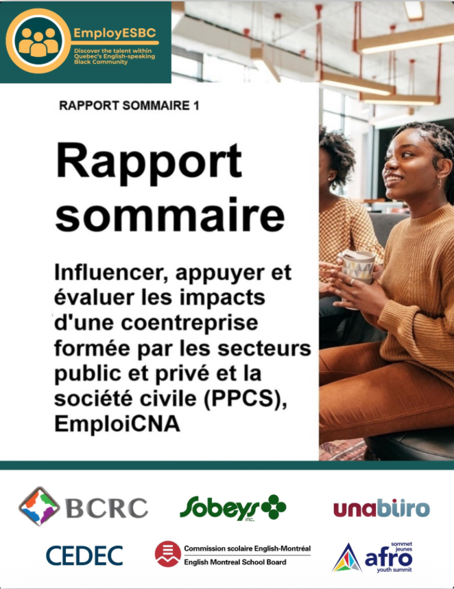 Rapport sommaire : influencer, appuyer et evaluer les impacts d&rsquo;une coentreprise formée par les secteurs public et privée et la société civile ( PPCS), EmploiCNA